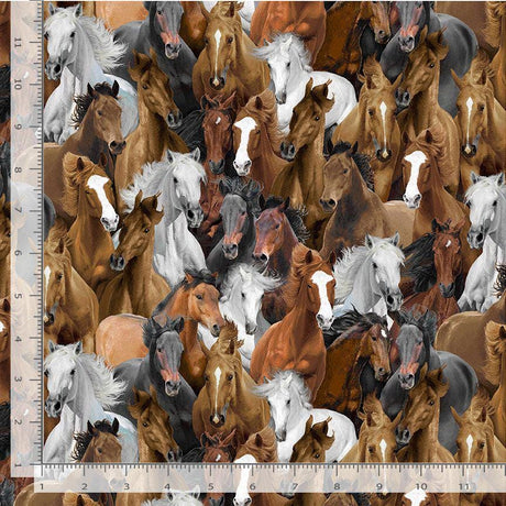 Quilting Cotton Running Horses Timeless Treasures