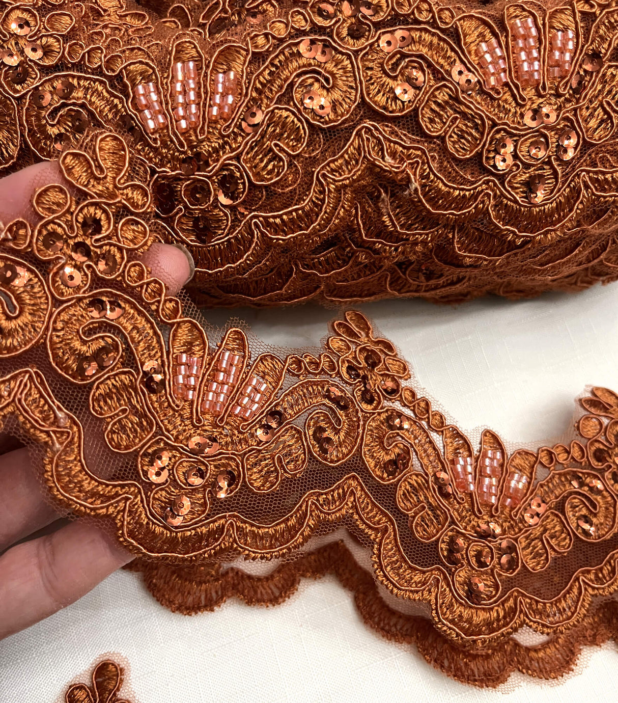 Beaded Corded Lace Trim on Net Mesh
