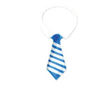 Collar & Tie - Large, 8" - Choose 3 or 24 pcs