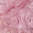3D Large Rose Embroidered Lace Fabric, Discoloration Flower Children's Applique Clothing, Dress Fashion, RS24458