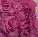 3D Large Rose Embroidered Lace Fabric, Discoloration Flower Children's Applique Clothing, Dress Fashion, RS24458