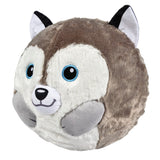 Bladder Balls 12" Belly Buddy (Assorted)