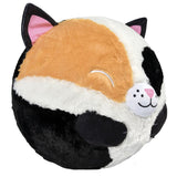Bladder Balls 12" Belly Buddy (Assorted)