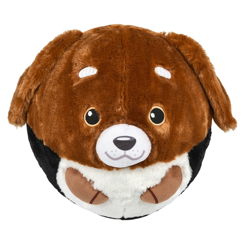 Belly Buddy Bladder Ball Assortment (1 PC)