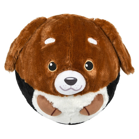 Belly Buddy Bladder Ball Assortment (1 PC)