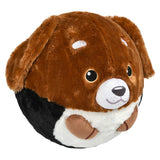 Belly Buddy Bladder Ball Assortment (1 PC)