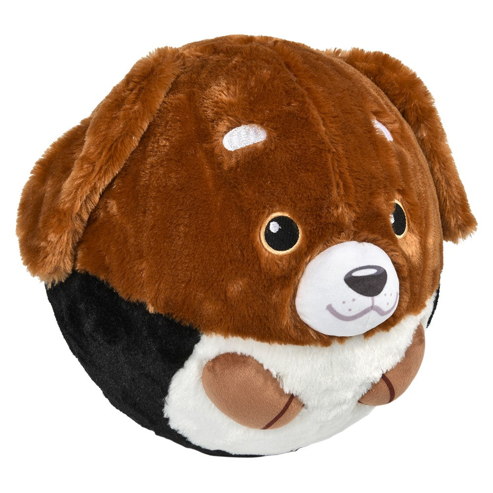 Belly Buddy Bladder Ball Assortment (1 PC)