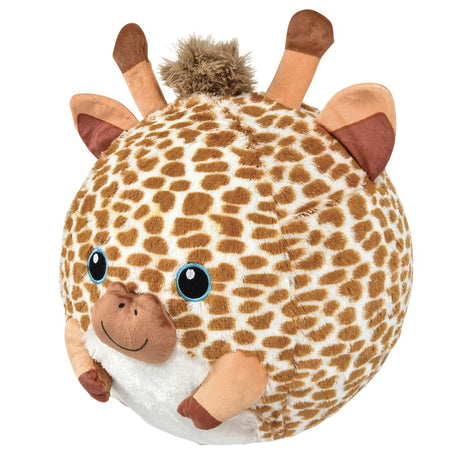 Belly Buddy Bladder Ball Assortment (16" 1 PC)