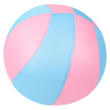 Mesh Bladder Ball Assortment 16"