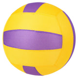 Mesh Bladder Ball Assortment 16"