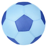 Mesh Bladder Ball Assortment 16"