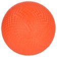 Playground Ball 10"