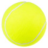 Jumbo Tennis Ball Assortment (8 Pc)