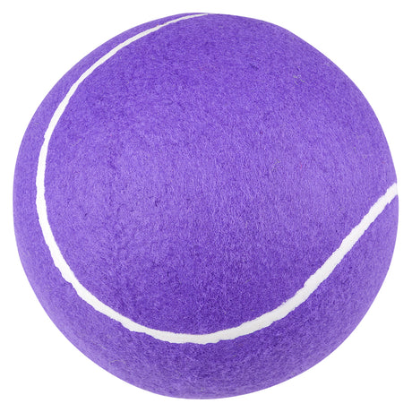 Jumbo Tennis Ball Assortment (8 Pc)