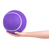 Jumbo Tennis Ball Assortment (8 Pc)