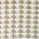Shea Floral Metallic Sheer Fabric - Beige, Ivory, Taupe, White, 110" Width (1 Yard)