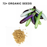 Fingerling Mix Eggplant Heirloom Seeds Good for Containers Patio and Balcony Organic Non GMO