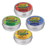 Scented Fruit Putty 12ct (1 DSP)