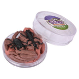 Insect Play Clay Slime 24ct (1 DSP)