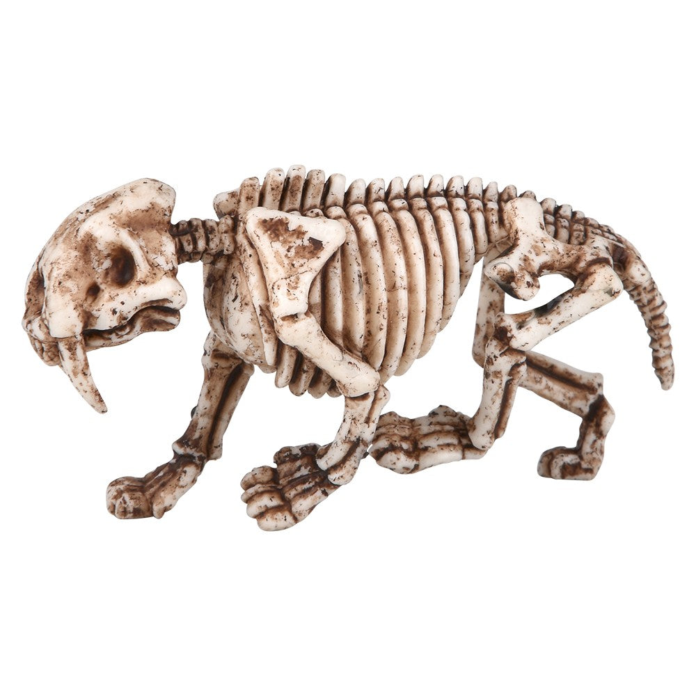 Tar Pit Goo With Smilodon Fossil (12 Pc Display)