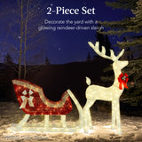 Lighted Christmas Reindeer & Sleigh Outdoor LED Holiday Yard Decor Set