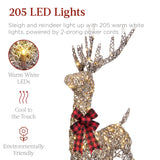 Lighted Christmas Reindeer & Sleigh Outdoor LED Holiday Yard Decor Set