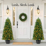 Pre-Lit Potted Pencil Christmas Tree with Twinkling LED Lights product image showing its overall design and key.