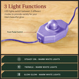 Pre-Lit Snow Flocked Christmas Tree with Twinkle Light Effects product image showing its overall design and key.