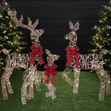3-Piece Lighted Christmas Deer Family Outdoor Decoration with 175 LED Lights
