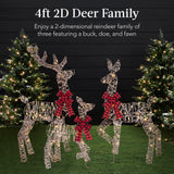3-Piece Lighted Christmas Deer Family Outdoor Decoration with 175 LED Lights