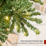 Pre Lit Alpine Slim Pencil Christmas Tree with LED Lights