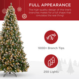Pre-Lit Flocked Christmas Tree with Pine Cones and String Lights product image showing its overall design and key.