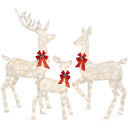 Lighted Christmas Deer Family Set of 3 with LED Lights