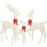 3-Piece Lighted Christmas Deer Family Set with LED Lights