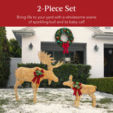 RADYAN lighted moose family set displayed outdoors for Christmas yard and holiday decoration
