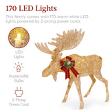 RADYAN lighted moose family set displayed outdoors for Christmas yard and holiday decoration