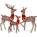 Lighted Christmas Deer Family Set of 3 with LED Lights