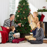 Artificial Hinged Douglas Fir Christmas Tree with Sturdy Stand product image showing its overall design and key.