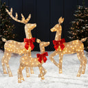 3-Piece Lighted Christmas Deer Family Outdoor Decoration with 175 LED Lights