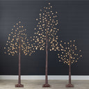 Set of 3 Lighted Birch Twig Trees with 300 Color-Changing LED Lights