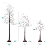 Set of 3 Lighted Birch Twig Trees with 300 Color-Changing LED Lights