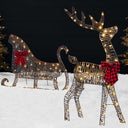 2D Lighted Outdoor Reindeer & Sleigh Decoration Set with LED Lights