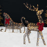 Lighted Outdoor Reindeer & Sleigh Decoration Set with LED Lights