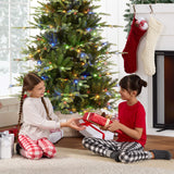 Pre-Lit Artificial Aspen Slim Noble Fir Christmas Tree with Stand product image showing its overall design and key.