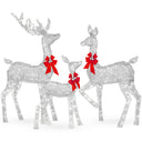 Lighted Christmas Deer Family Set of 3 with LED Lights