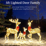 3 Piece Lighted Christmas Deer Set Outdoor LED Decor