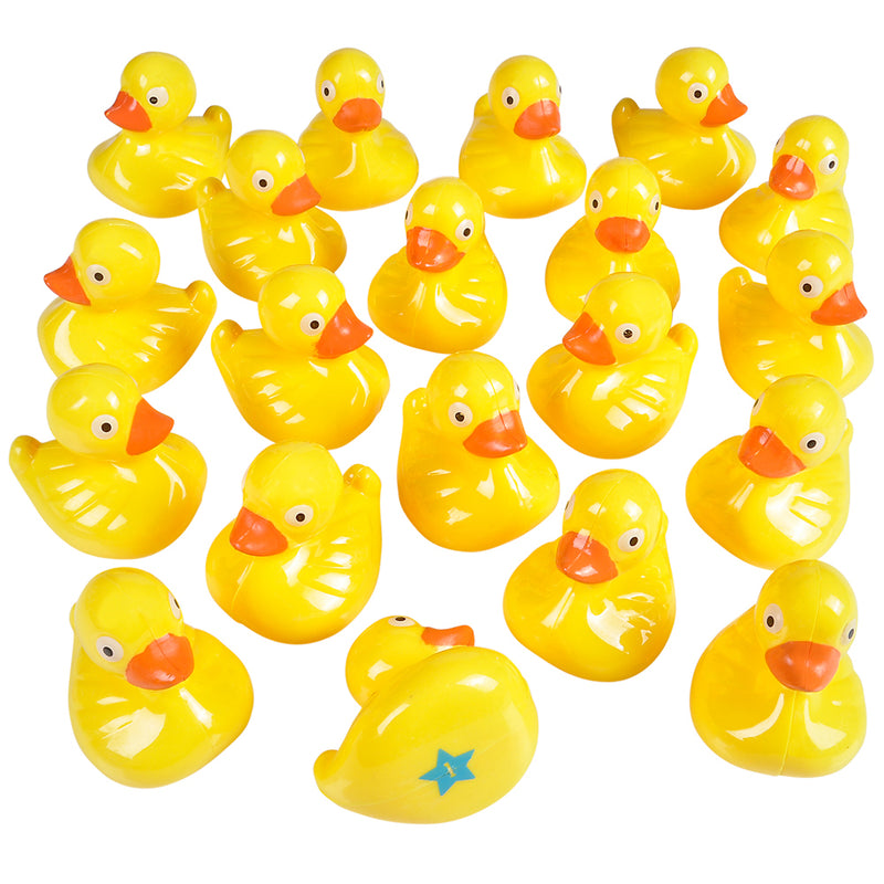 Duck Matching Game (20 PC)
