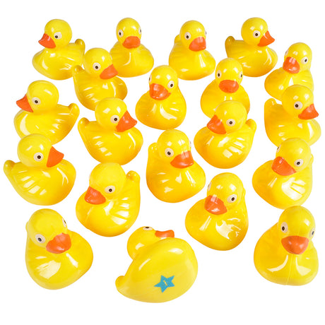 Duck Matching Game (20 PC)