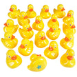 Duck Matching Game (20 PC)