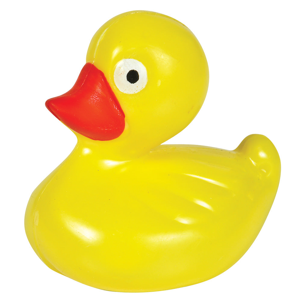 Floating Plastic Ducks (1 DZ)